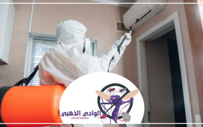 شركة مكافحة حشرات بالقوز الشارقة