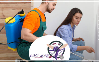 شركة مكافحة حشرات المنخول دبي
