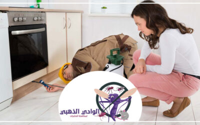 شركة مكافحة البرص بمردف