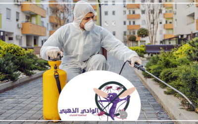 شركة مكافحة الرمة في أبوظبي