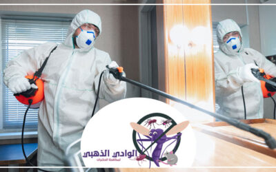 شركة مكافحة الرمة في العين