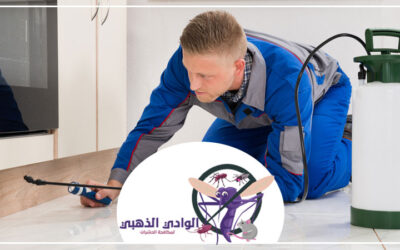 شركة مكافحة الرمة في دبي 0553886746