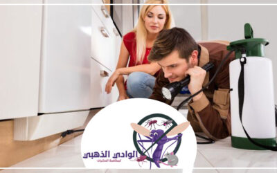 شركة مكافحة الفئران الجميرا دبي