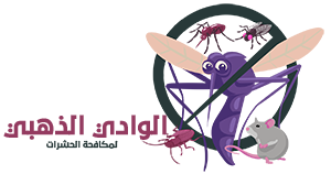 شركة رش مبيدات الشارقة