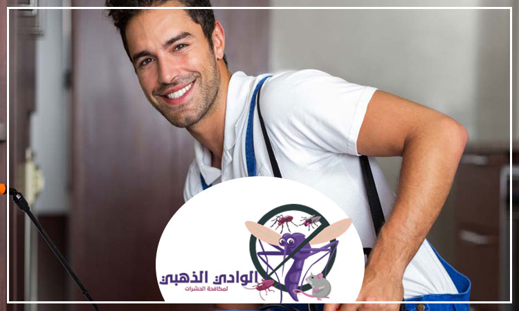 شركة مكافحة البرص في الشارقة