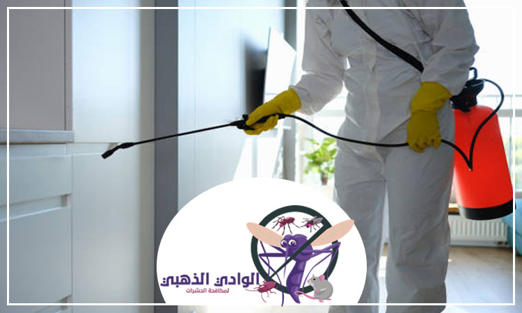 شركة مكافحة العثة في العين