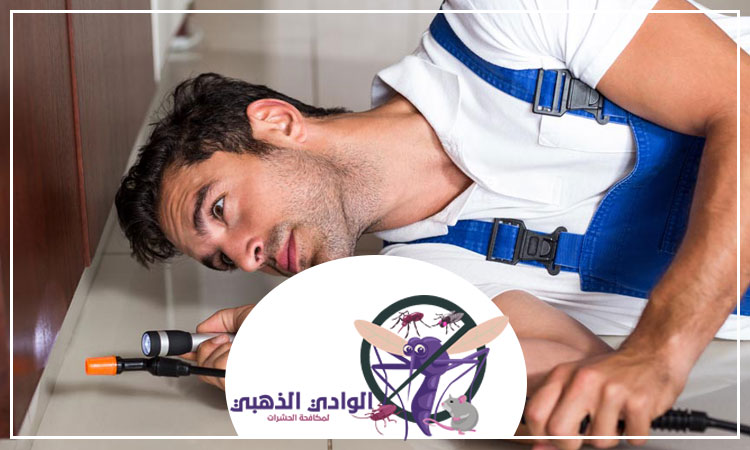 شركة مكافحة العثة في العين