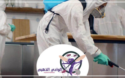 شركة مكافحة البرص في الشارقة