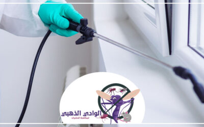 شركة مكافحة العثة في العين