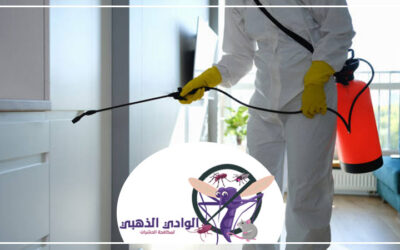 شركة مكافحة النمل في ابوظبي 0553886746