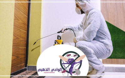 شركة مكافحة النمل في دبي 0553886746