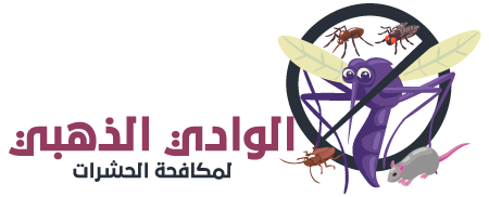 شركة الوادي الذهبي