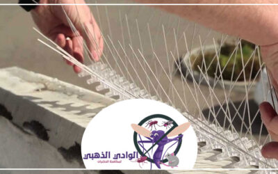 مكافحة الحمام في الشارقة 0553886746