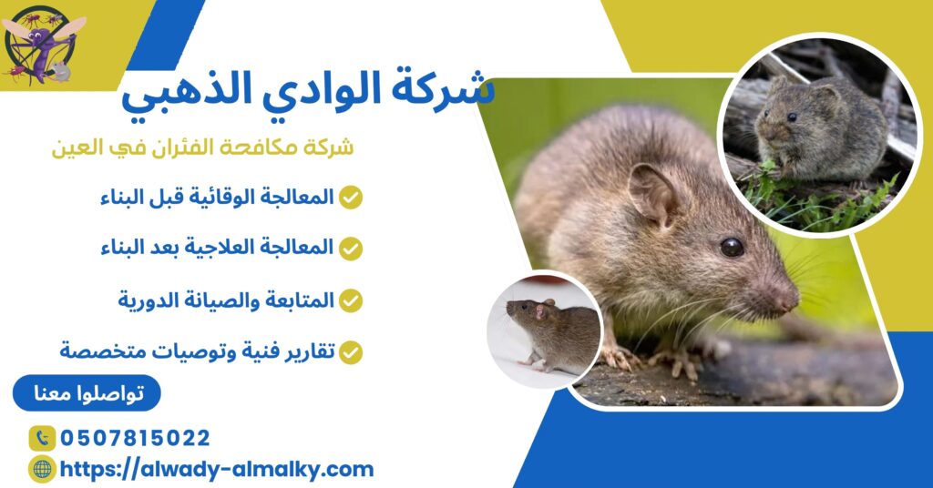 شركة مكافحة الفئران في العين