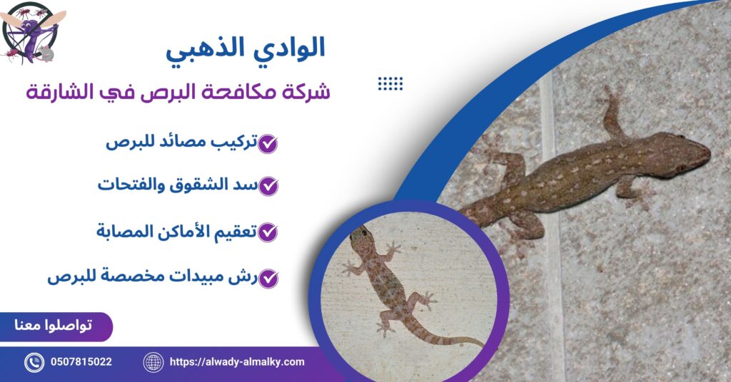 شركة مكافحة البرص في الشارقة