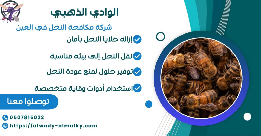شركة مكافحة النحل في العين