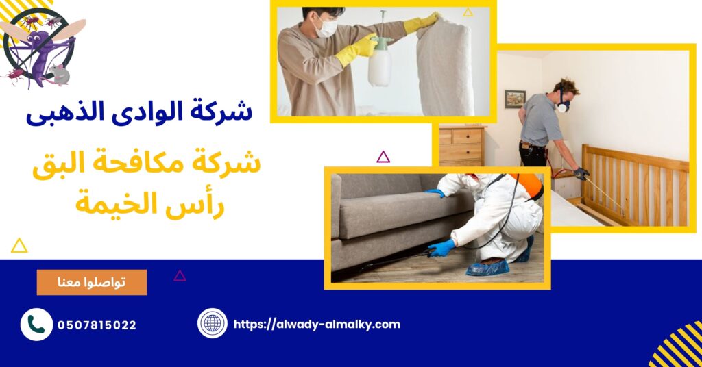 شركة مكافحة البق رأس الخيمة