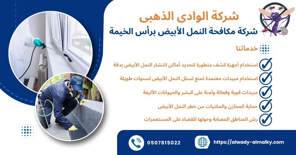 شركة مكافحة النمل الأبيض برأس الخيمة