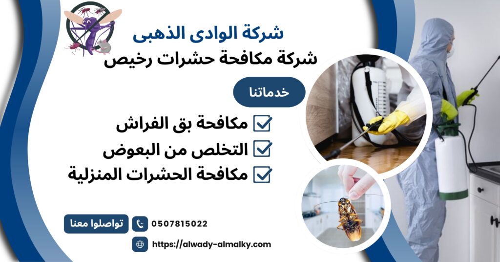 شركة مكافحة حشرات رخيص