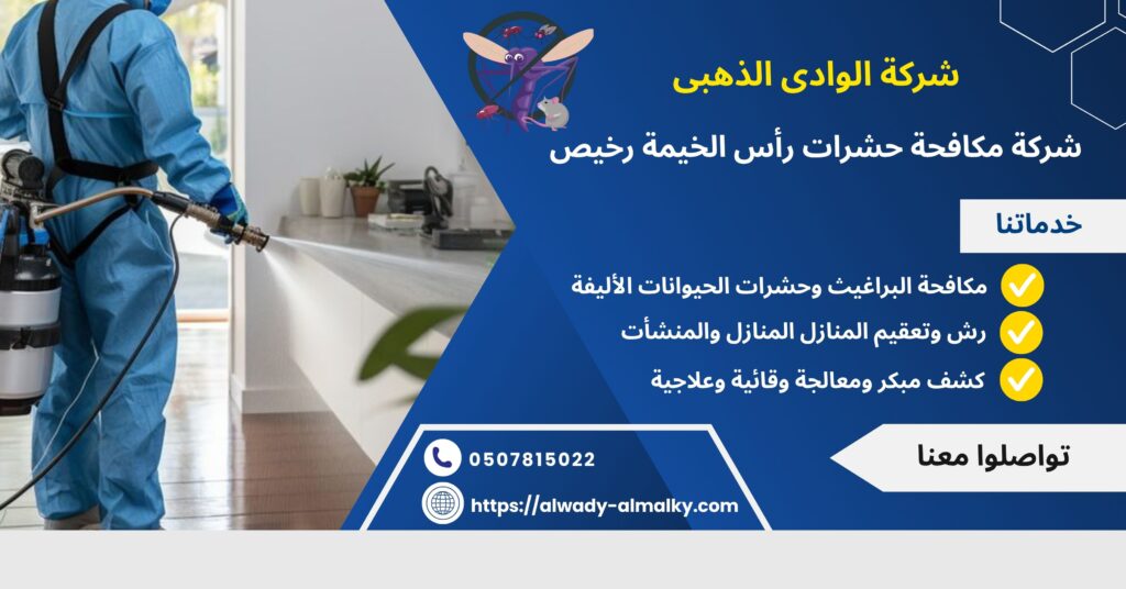 مكافحة حشرات رأس الخيمة رخيص