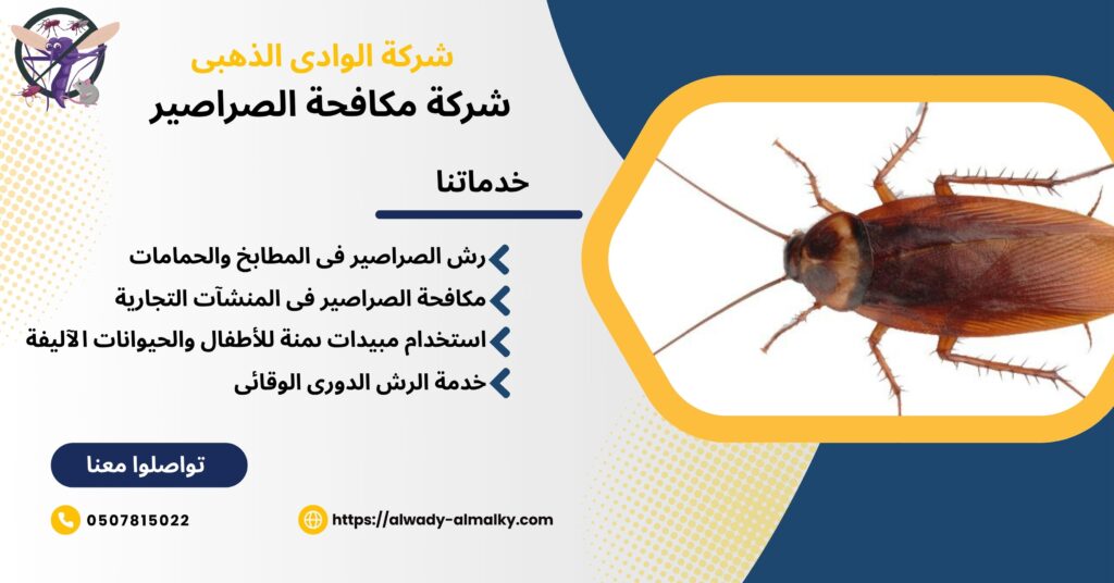 شركة مكافحة الصراصير