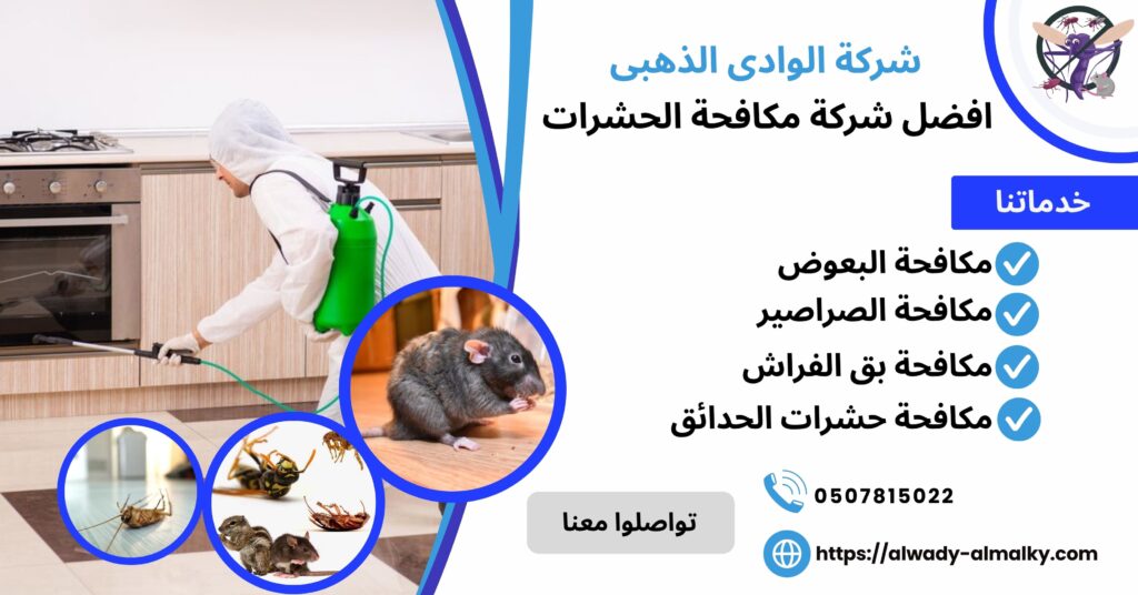 افضل شركة مكافحة الحشرات