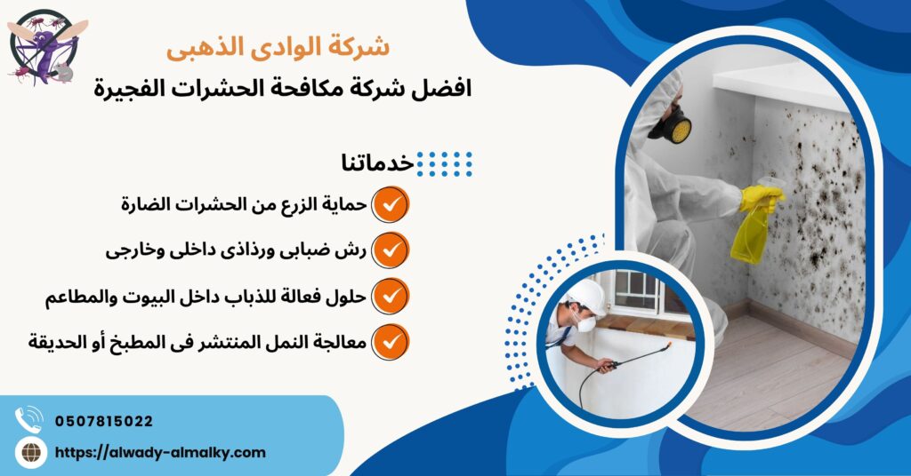 افضل شركة مكافحة الحشرات الفجيرة