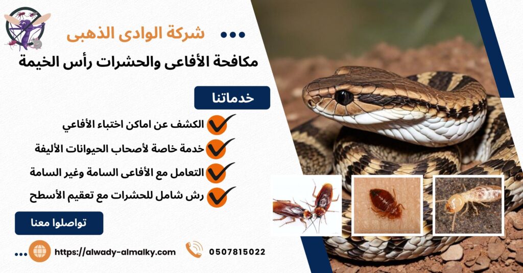 شركة مكافحة الأفاعي والحشرات